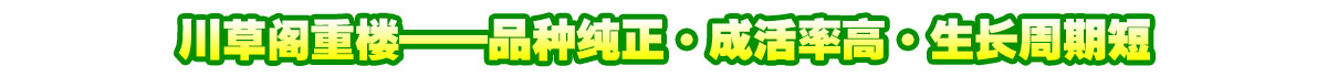 川草阁名贵中药材种植