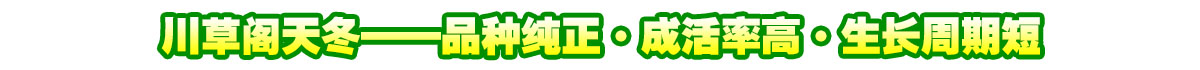 川草阁名贵中药材种植